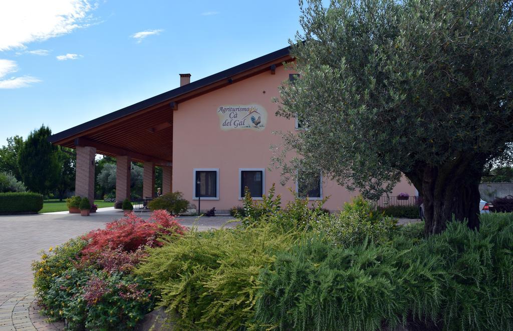 Agriturismo Ca' Del Gal Valeggio sul Mincio